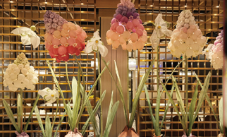 蝦餃妹品牌介紹